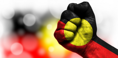 Aboriginal fist