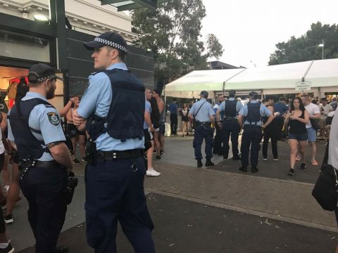 Police at a festival
