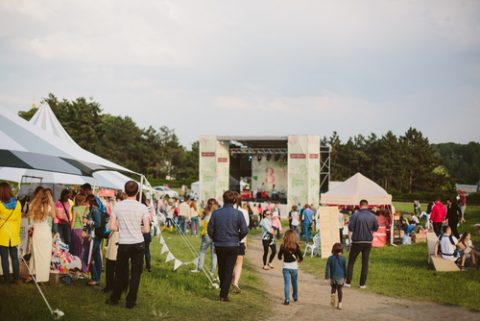 Outdoor music festival