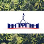 Cannabis Legalisation is Coming to Canberra