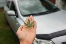 Cannabis driving