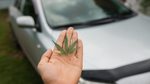 Cannabis driving