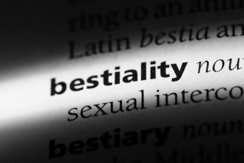 Bestality Definition