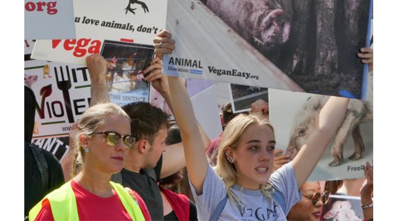 Vegan protest