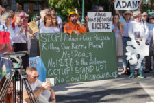 Adani protest