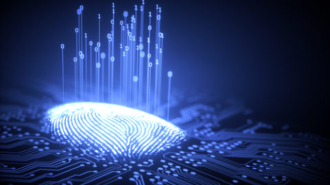 Fingerprint
