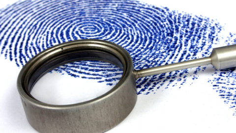 Fingerprint ink