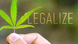 cannabis legalise
