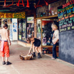 Police Power More Present than Ever at Nimbin Mardi Grass Festival