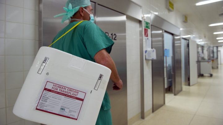Organ donation