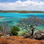 Towards Torres Strait Autonomy: An Interview With GBK’s Ned David