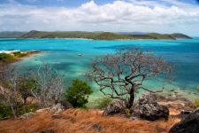 Thursday Island