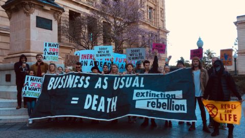 Extinction Rebellion Activists