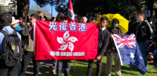 Hong Kong Protester Silver Lee