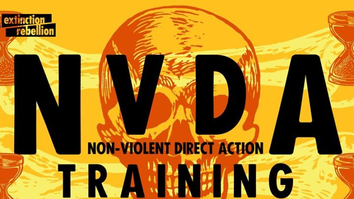 NVDA training