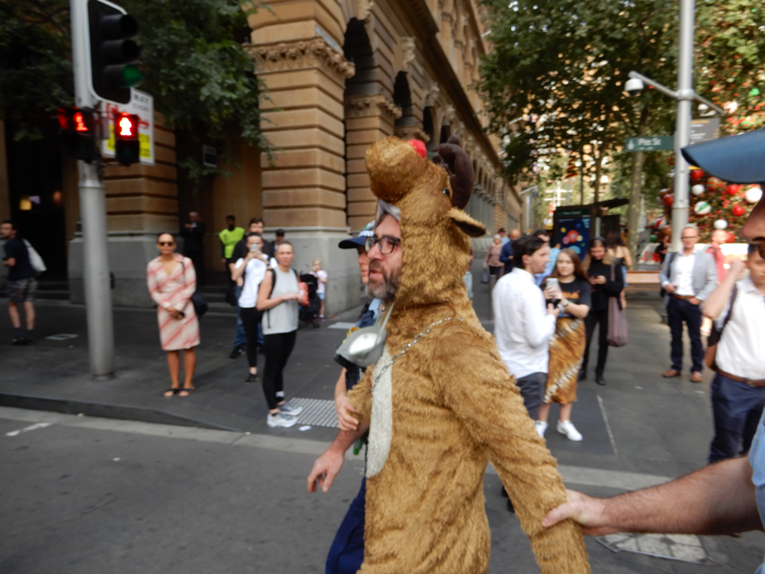 Climate change reindeer