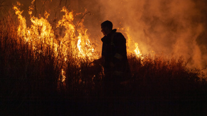 Local Firefighter