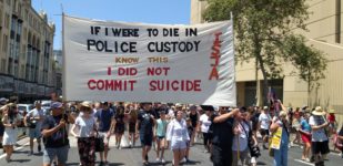 Suicides in custody