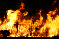 Australian bushfire