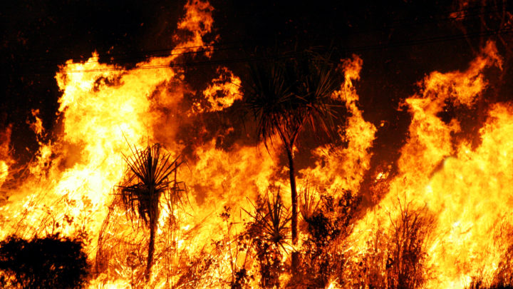 Australian bushfire