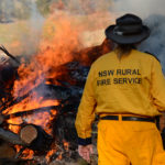 Debunking the Myth that the Greens Caused the Bushfire Crisis: An Interview With MLC David Shoebridge