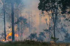 Bushfire Australia