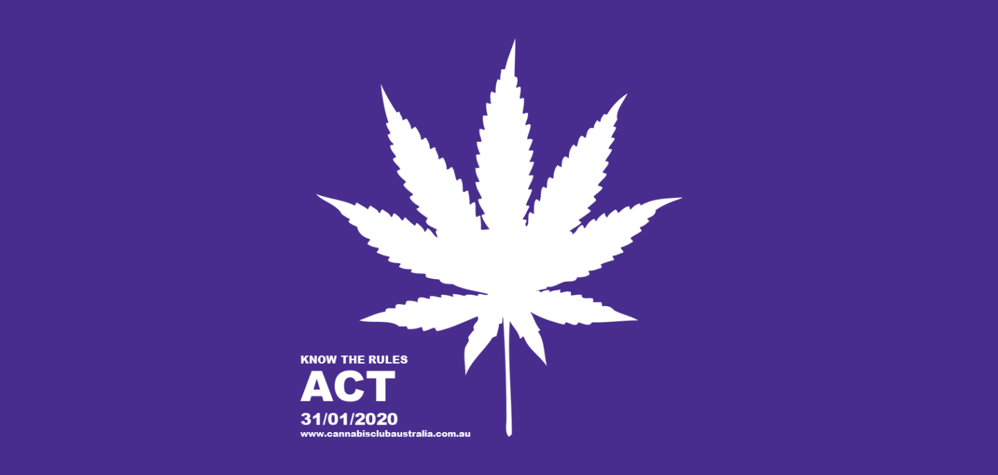 Cannabis Possession Will Soon Be Legal In Canberra An Interview With Cannabis Club’s Mark Hutchison
