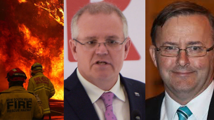 Fire Fighters, Morrison and Albanese