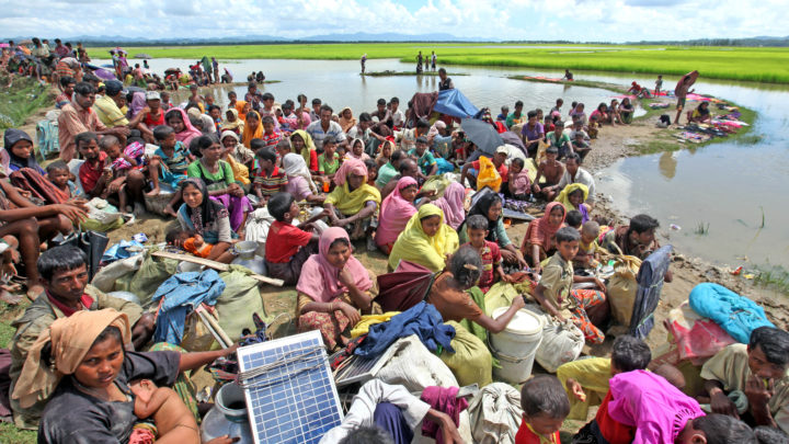 Rohingya muslims