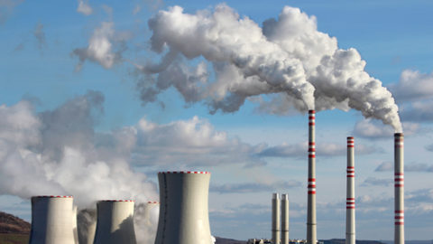 Fossil Fuel