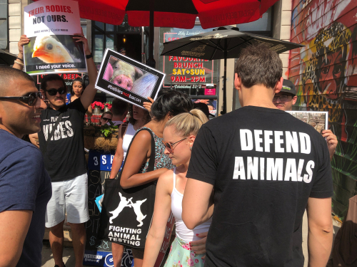 Good People Break Bad Laws: Animal Rights Activists Good People Break Bad Laws: Animal Rights Activists