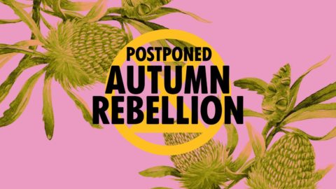Autumn rebellion