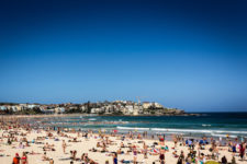 Bondi Beach