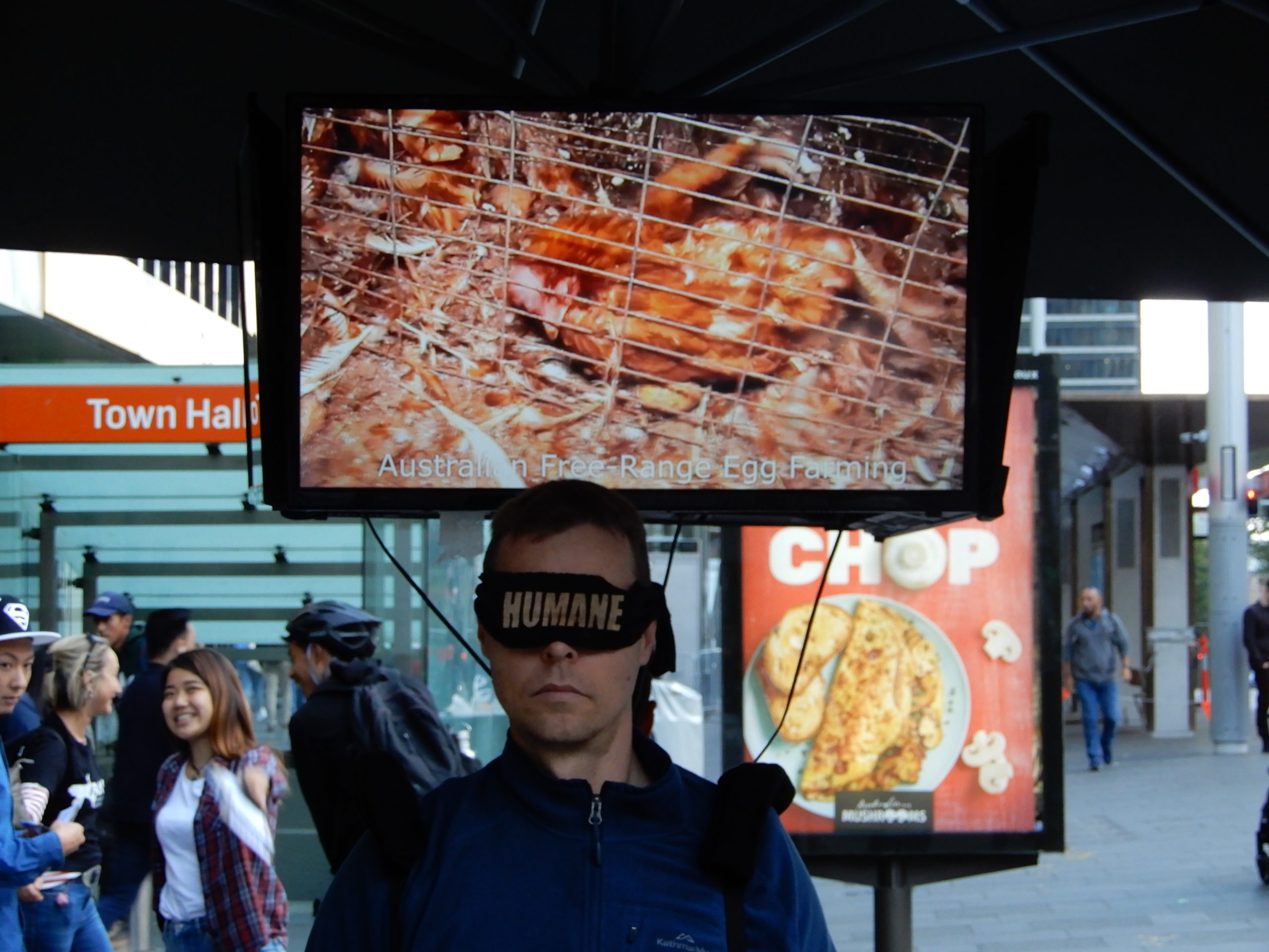Animal Cruelty poster