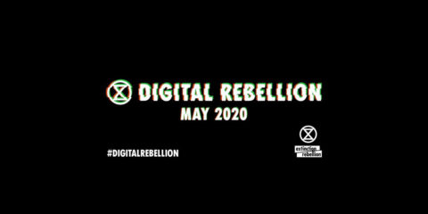 Digital Rebellion