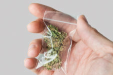 Cannabis bag