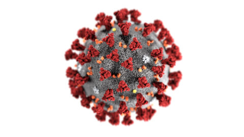 Coronavirus