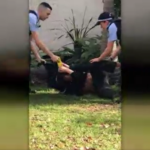 Sydney Man Tasered in Face, as Australian Police Continue Assault on First Nations
