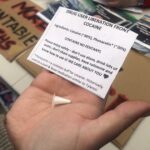 Canadian Activists Hand Out Free Drugs to Highlight Overdose Crisis