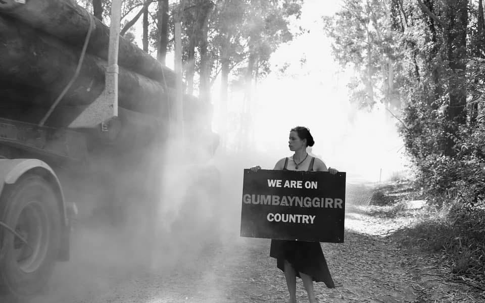 Sandy Greenwood protesting in Nambucca State Forest