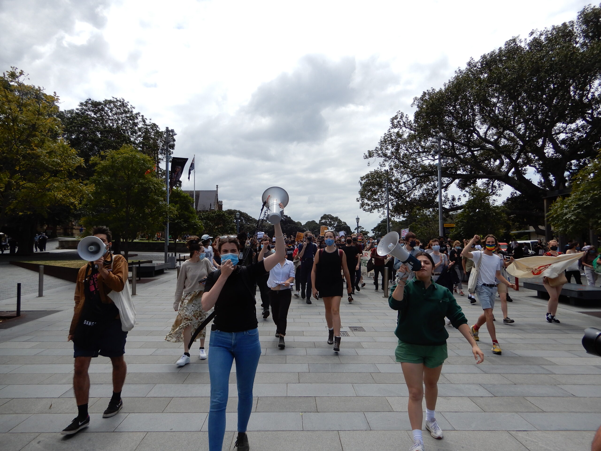 Demonstrators on the avenue