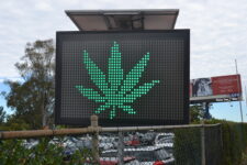 Regulated cannabis