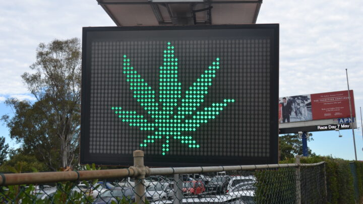 Regulated cannabis