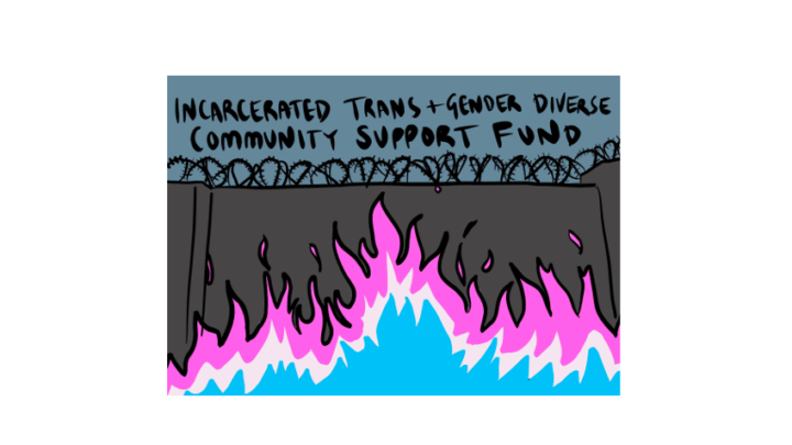 Transgender fund