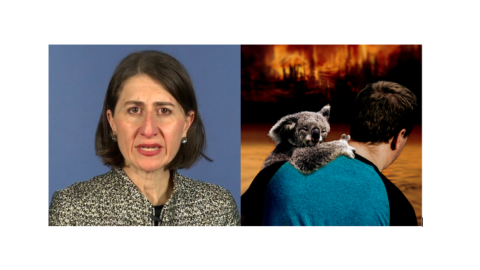 Gladys and koalas