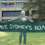 The Nats Are Still Attempting to Kill Off Koalas: An Interview With Greens MLC Cate Faehrmann