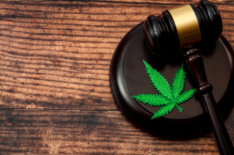 Legalise cannabis