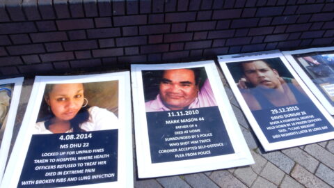 Deaths in custody