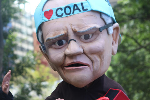 Morrison and coal