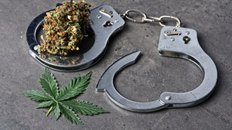 Drug decriminalisation